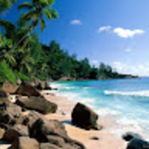 Meet your Posher, Lenora